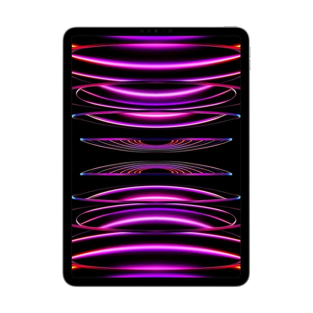 Apple iPad Pro 11" 2022 512 Go WiFi Gris Sidéral